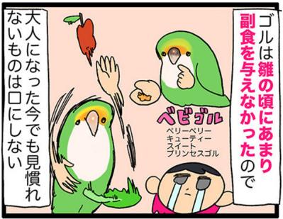 【鳥マンガ＃27】水浴びをしたときのインコ臭が…／女帝インコついにリンゴを召し上がる（サムネイル画像8）