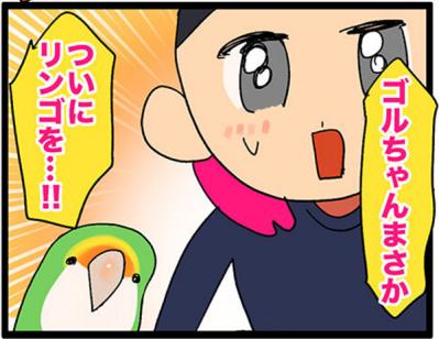 【鳥マンガ＃27】水浴びをしたときのインコ臭が…／女帝インコついにリンゴを召し上がる（サムネイル画像14）