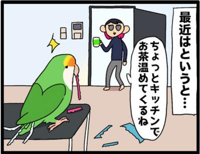 【鳥マンガ＃28】勇気を出してがんばったインコ／女帝インコの「尊（そん）」なところ（サムネイル画像4）