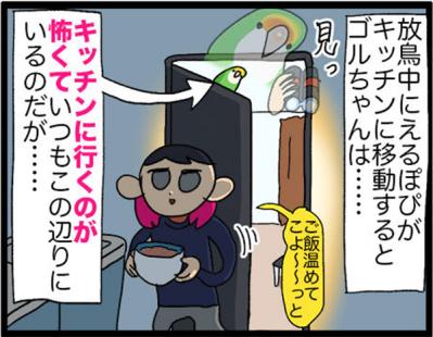 【鳥マンガ＃28】勇気を出してがんばったインコ／女帝インコの「尊（そん）」なところ（サムネイル画像3）