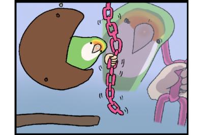 【鳥マンガ＃28】勇気を出してがんばったインコ／女帝インコの「尊（そん）」なところ