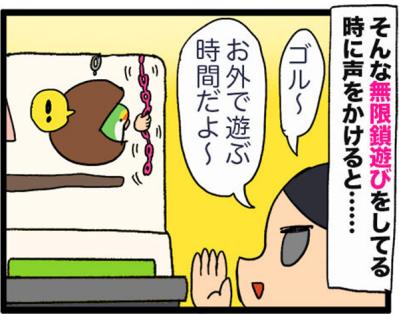 【鳥マンガ＃28】勇気を出してがんばったインコ／女帝インコの「尊（そん）」なところ（サムネイル画像9）