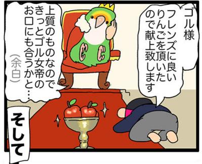 【鳥マンガ＃27】水浴びをしたときのインコ臭が…／女帝インコついにリンゴを召し上がる（サムネイル画像12）