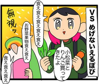 【鳥マンガ＃27】水浴びをしたときのインコ臭が…／女帝インコついにリンゴを召し上がる（サムネイル画像9）