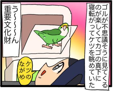 【鳥マンガ＃29】インコはいつでもパワフル／かわいいおしりを眺めていたら…（サムネイル画像7）