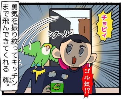 【鳥マンガ＃28】勇気を出してがんばったインコ／女帝インコの「尊（そん）」なところ（サムネイル画像6）