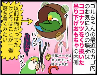 【鳥マンガ＃28】勇気を出してがんばったインコ／女帝インコの「尊（そん）」なところ（サムネイル画像7）