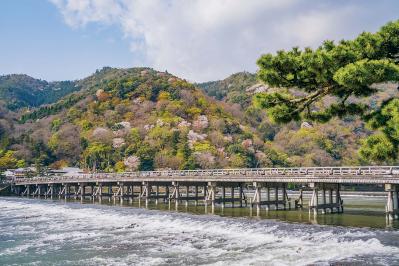 『方丈記』現代に語り継ぐ無常観 - 鴨長明の生き方とその教え