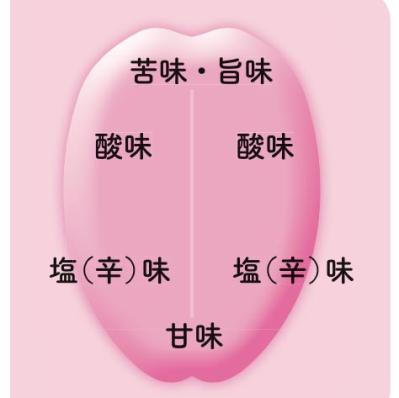 犬と猫、グルメなのはどっち？ 犬派・猫派バトルに動物学者が終止符！？（サムネイル画像3）