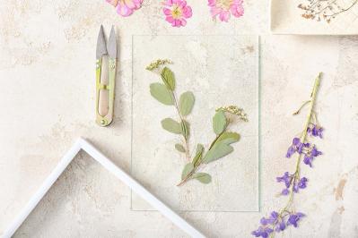 精神を病みながらも生きる希望を見出す『智恵子抄』高村光太郎の愛の物語