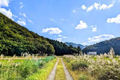 『故郷』魯迅の名作を読む：変わり果てた故郷に揺れる心