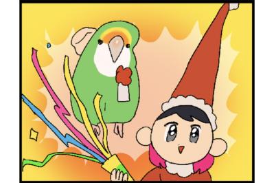 【鳥マンガ＃31】ゴルちゃんの誕生日は12月／毎年変わるインコの誕生日