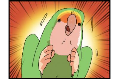 【鳥マンガ＃32】女帝インコの愛が重たい／飼い主がもう少し寝たい朝は？