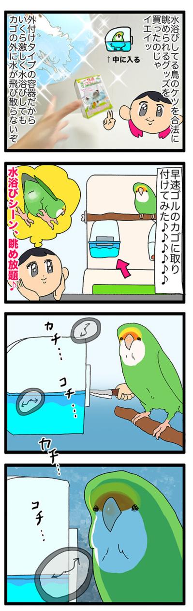 【鳥マンガ＃33】お尻をずっと眺めていたくて…／インコに「おやすみ」と言うと？（サムネイル画像4）
