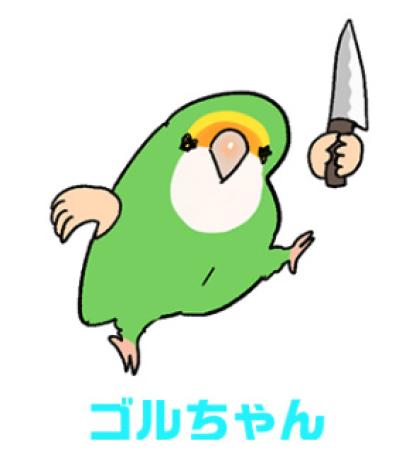 【鳥マンガ＃31】ゴルちゃんの誕生日は12月／毎年変わるインコの誕生日（サムネイル画像2）