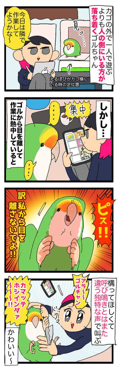 【鳥マンガ＃32】女帝インコの愛が重たい／飼い主がもう少し寝たい朝は？（サムネイル画像3）