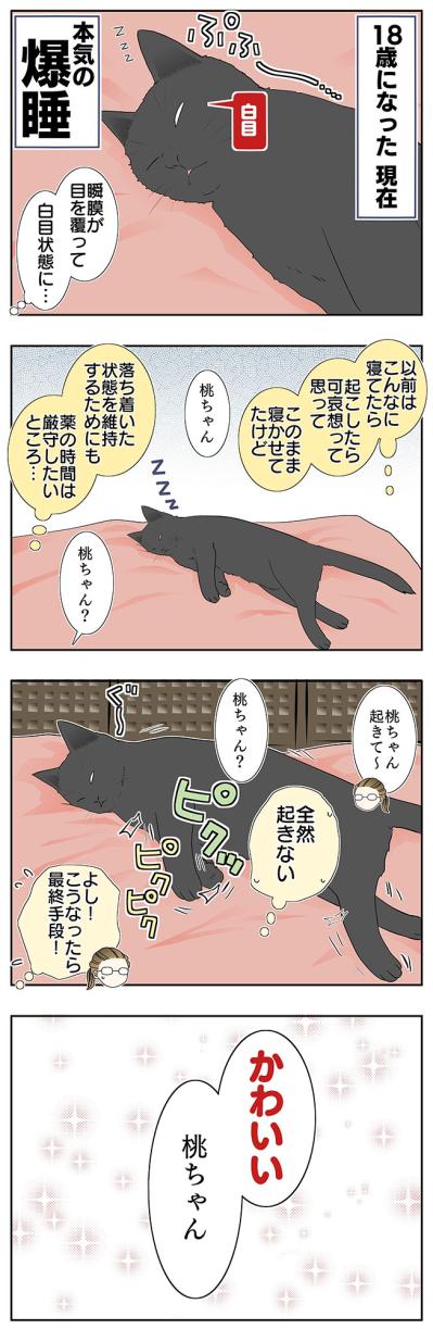 【老猫マンガ】猫、パワーワードで覚醒する？ 18歳の元保護猫・桃姐［＃22］（サムネイル画像3）