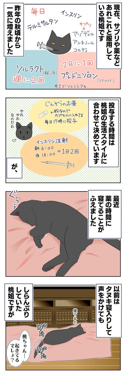 【老猫マンガ】猫、パワーワードで覚醒する？ 18歳の元保護猫・桃姐［＃22］（サムネイル画像2）