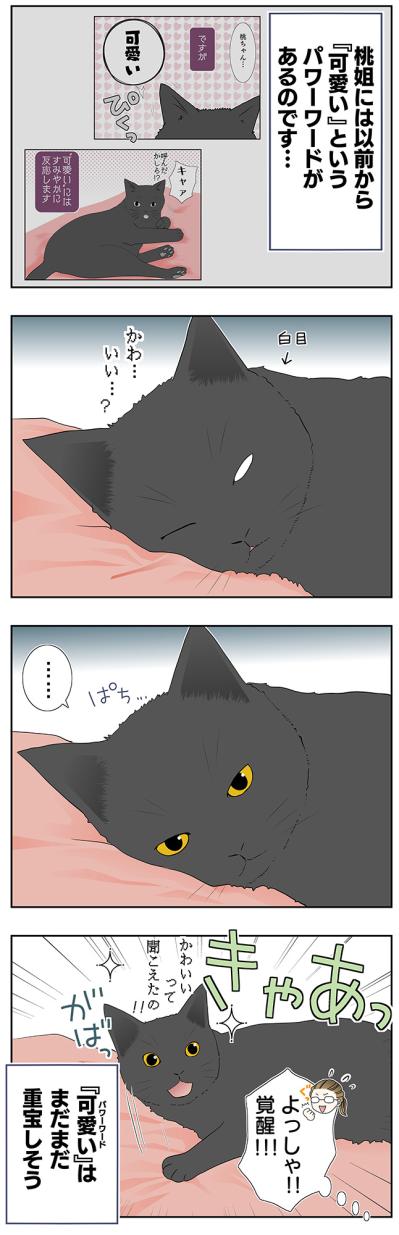 【老猫マンガ】猫、パワーワードで覚醒する？ 18歳の元保護猫・桃姐［＃22］（サムネイル画像4）