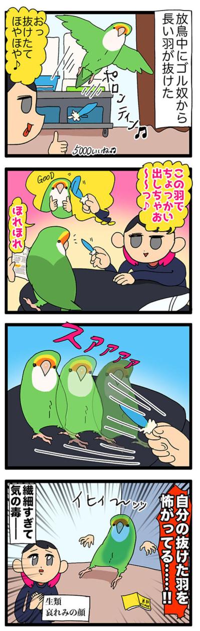 【鳥マンガ＃34】女帝インコ、意外とどんくさくて怖がり…（でも愛おしい）（サムネイル画像5）
