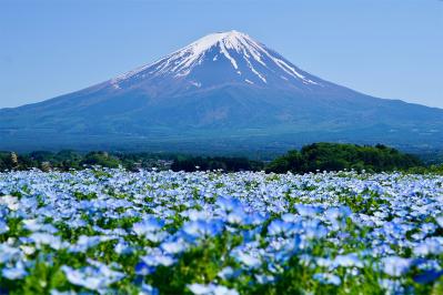 太宰治の『富嶽百景』あらすじ紹介。富士山を背景に繰り広げられる人間ドラマ！