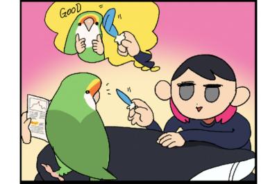 【鳥マンガ＃34】女帝インコ、意外とどんくさくて怖がり…（でも愛おしい）