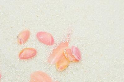 ついにスタート！！【続・続・最後から二番目の恋】千明と和平のつながりの確かさを教えてくれたコロナ禍の描写にほっこり！第1話レビュー（サムネイル画像2）