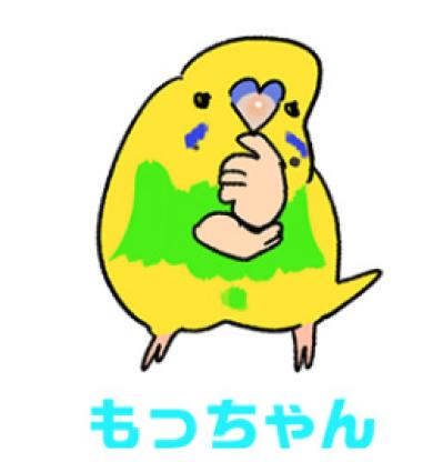 【鳥マンガ＃31】ゴルちゃんの誕生日は12月／毎年変わるインコの誕生日（サムネイル画像3）