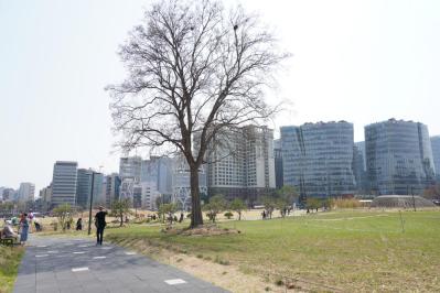 ソウルで「愛の不時着」気分。滋味深い味がうれしい【北朝鮮式のレストラン】は50代〜女性におすすめ（サムネイル画像18）