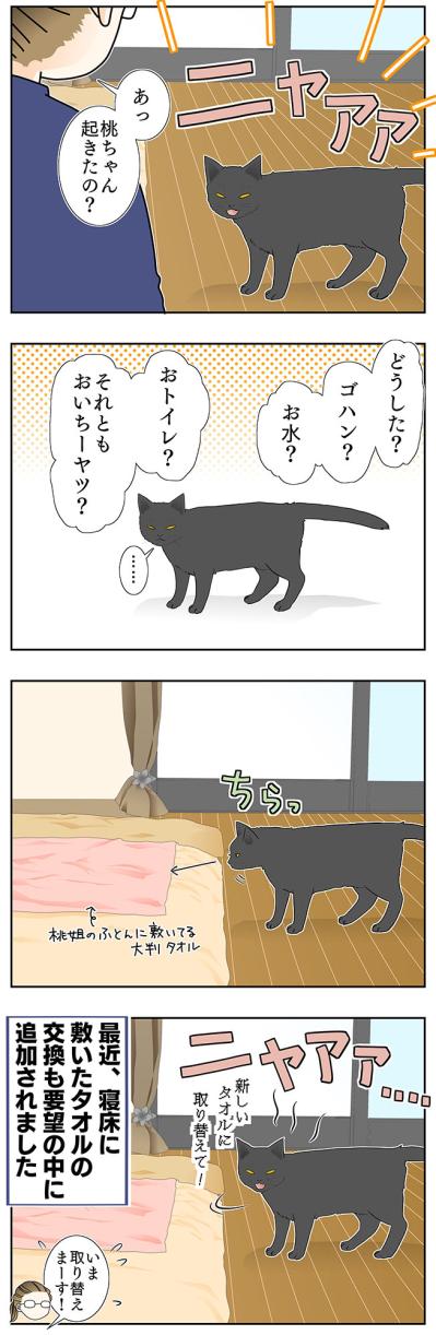 【マンガ・老猫日誌＃23】年々、要望が増えていく猫…19歳の元保護猫・桃姐（サムネイル画像3）