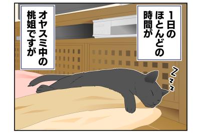 【老猫マンガ】年々、要望が増えていく猫…18歳の元保護猫・桃姐［＃23］