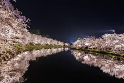 坂口安吾の『桜の森の満開の下』あらすじ紹介。孤独と恐怖が織り成す幻想の世界
