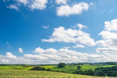 宮沢賢治の『グスコーブリの伝記』あらすじ紹介。人類を救うために自らを捧げることはできるのか？