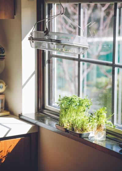 半端な野菜の使いきりにもなるブランチレシピ｜人気料理家【飛田和緒さん】の食卓を拝見（サムネイル画像6）