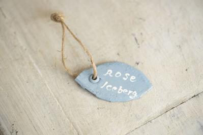 【ガーデニング】簡単に作れる“リメ缶アレンジメント”で庭作りをもっと楽しく！（サムネイル画像5）