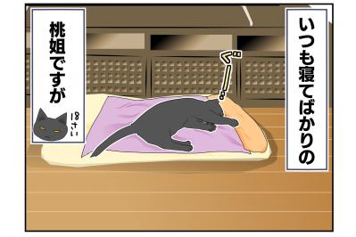 【老猫マンガ】なぜか寝ない猫…18歳の元保護猫・桃姐［＃24］