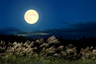 宮沢賢治の『ポラーノの広場』あらすじ紹介。夢と希望が広がる繊細な物語