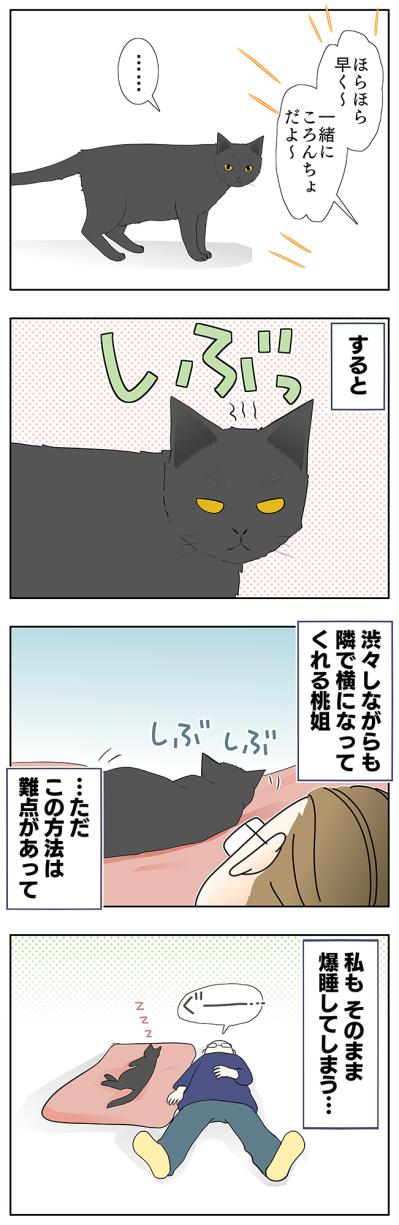 【老猫マンガ】なぜか寝ない猫…18歳の元保護猫・桃姐［＃24］（サムネイル画像3）
