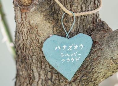 【ガーデニング】簡単に作れる“リメ缶アレンジメント”で庭作りをもっと楽しく！（サムネイル画像4）