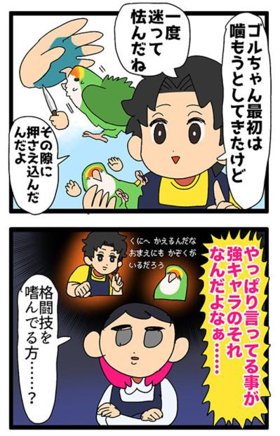 【鳥マンガ＃35】女帝インコに絶対負けない店長／仕事に遅刻しそうになる飼い主あるあるとは？（サムネイル画像4）