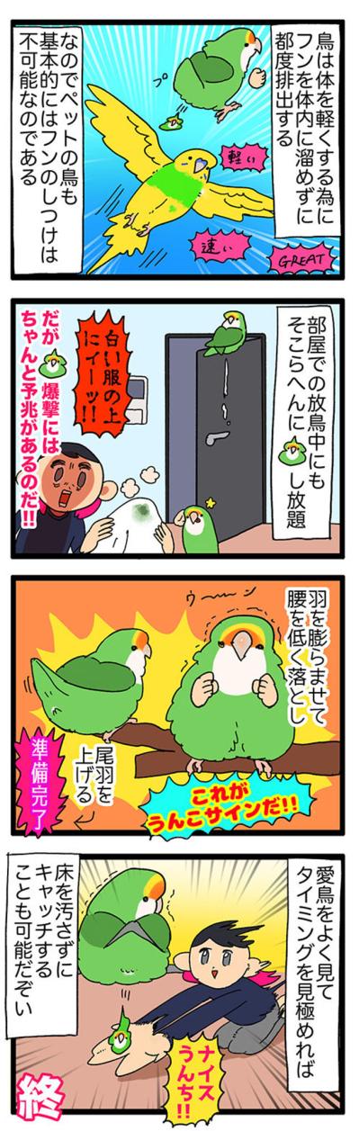 【鳥マンガ＃36】ゲーム中の視界をふさぐインコ／愛鳥の爆撃サインがわかった！（サムネイル画像5）