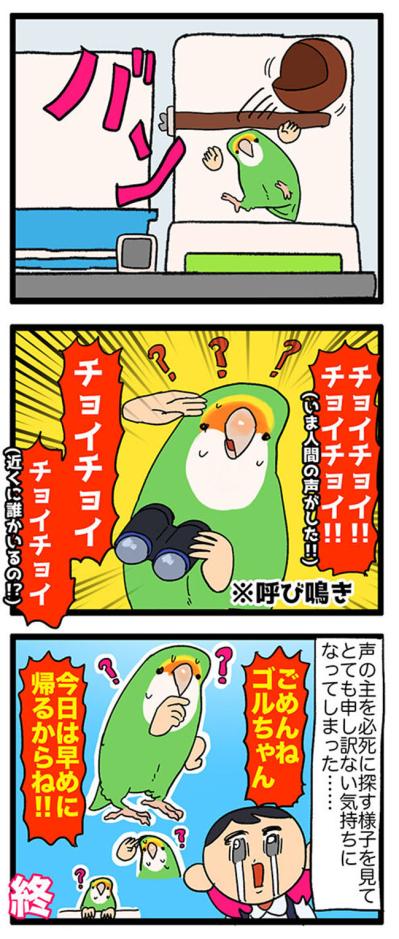 【鳥マンガ＃37】ペットカメラが生んだ悲劇／おやつのりんごを気に入った女帝インコ（サムネイル画像4）