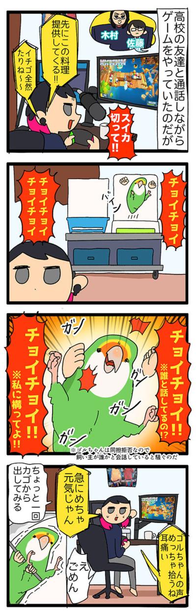 【鳥マンガ＃36】ゲーム中の視界をふさぐインコ／愛鳥の爆撃サインがわかった！（サムネイル画像3）