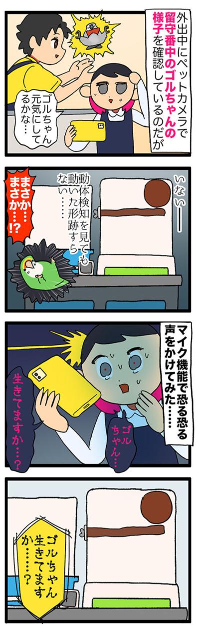 【鳥マンガ＃37】ペットカメラが生んだ悲劇／おやつのりんごを気に入った女帝インコ（サムネイル画像3）