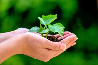 【遺贈寄付】遺言が不要で手軽にできる「信託による寄付」とは？