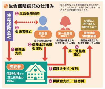 【遺贈寄付】遺言が不要で手軽にできる「信託による寄付」とは？（サムネイル画像3）