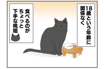 【老猫マンガ】鬱陶しそうな顔をする猫…18歳の元保護猫・桃姐［＃25］