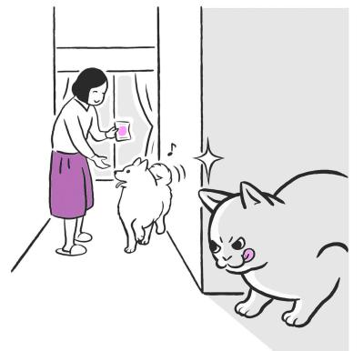 犬と猫、気配を絶つのが得意なのはどっち？ 静けさに秘められた本能の物語（サムネイル画像2）