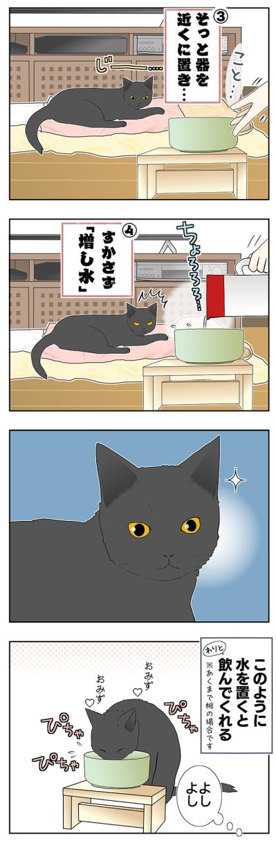 【マンガ・老猫日誌＃26】水をもっと飲ませる方法、桃姐の場合。19歳の元保護猫（サムネイル画像3）