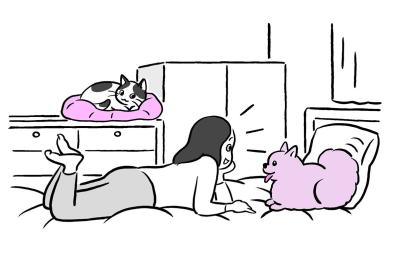 犬と猫、言葉をよく理解するのはどっち？ 研究で見えてきた意外な真実